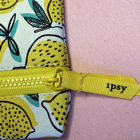 FINAL SALE PRICE Ipsy & Polo Bags for Makeup/Kleenex or Whatever - Picture 6 of 7